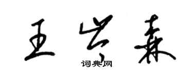 梁锦英王岑森草书个性签名怎么写