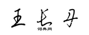 梁锦英王长丹草书个性签名怎么写