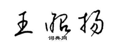 梁锦英王昭扬草书个性签名怎么写