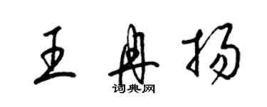 梁锦英王冉扬草书个性签名怎么写