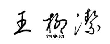梁锦英王柳洁草书个性签名怎么写