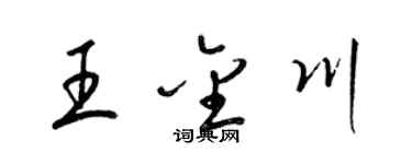 梁锦英王金川草书个性签名怎么写