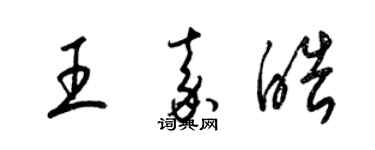 梁锦英王嘉皓草书个性签名怎么写