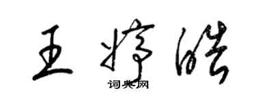 梁锦英王婷皓草书个性签名怎么写