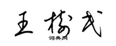 梁锦英王树民草书个性签名怎么写