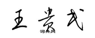 梁锦英王贵民草书个性签名怎么写