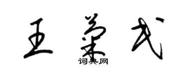 梁锦英王菊民草书个性签名怎么写
