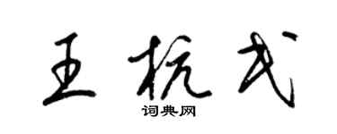 梁锦英王杭民草书个性签名怎么写