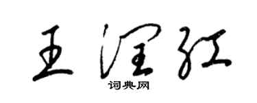 梁锦英王润红草书个性签名怎么写