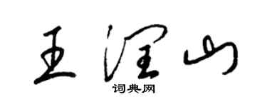 梁锦英王润山草书个性签名怎么写