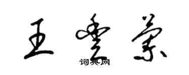 梁锦英王丰兰草书个性签名怎么写