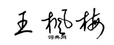 梁锦英王枫梅草书个性签名怎么写