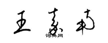 梁锦英王嘉南草书个性签名怎么写