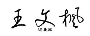 梁锦英王文枫草书个性签名怎么写