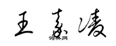 梁锦英王嘉凌草书个性签名怎么写