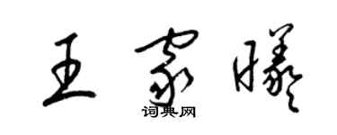 梁锦英王家曦草书个性签名怎么写