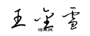 梁锦英王金雪草书个性签名怎么写