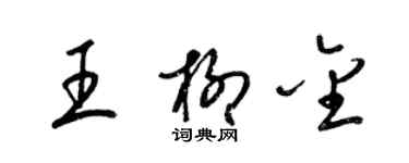 梁锦英王柳金草书个性签名怎么写