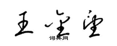 梁锦英王金望草书个性签名怎么写