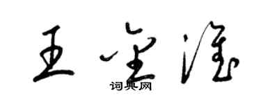 梁锦英王金淮草书个性签名怎么写