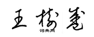 梁锦英王树盛草书个性签名怎么写