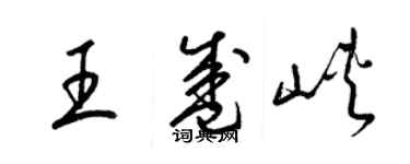 梁锦英王盛峡草书个性签名怎么写