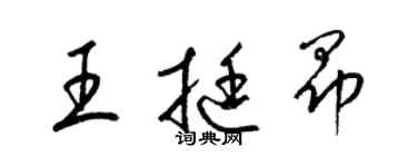 梁锦英王挺昂草书个性签名怎么写