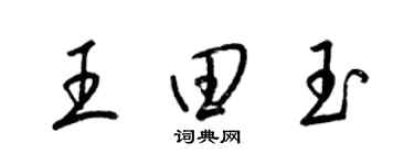 梁锦英王田玉草书个性签名怎么写