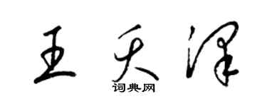 梁锦英王夭泽草书个性签名怎么写