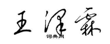 梁锦英王泽霖草书个性签名怎么写