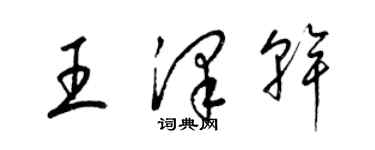 梁锦英王泽干草书个性签名怎么写