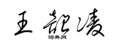 梁锦英王韶凌草书个性签名怎么写
