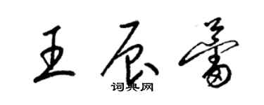 梁锦英王辰蕾草书个性签名怎么写