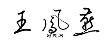 梁锦英王凤燕草书个性签名怎么写