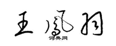 梁锦英王凤羽草书个性签名怎么写