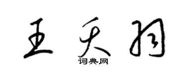 梁锦英王夭羽草书个性签名怎么写