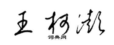 梁锦英王柯澎草书个性签名怎么写