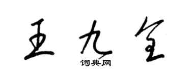 梁锦英王九全草书个性签名怎么写