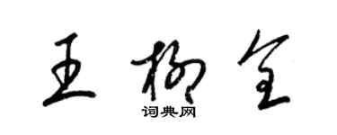 梁锦英王柳全草书个性签名怎么写