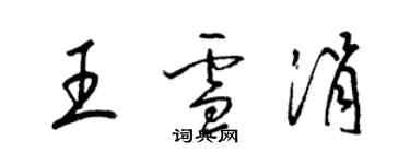 梁锦英王雪涓草书个性签名怎么写