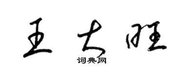 梁锦英王大旺草书个性签名怎么写