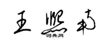 梁锦英王熙南草书个性签名怎么写