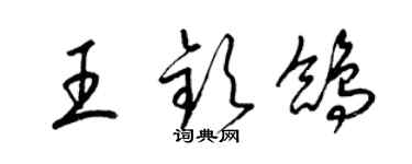 梁锦英王钦鸽草书个性签名怎么写
