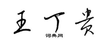 梁锦英王丁贵草书个性签名怎么写