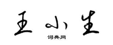 梁锦英王小生草书个性签名怎么写