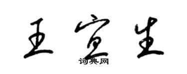 梁锦英王宜生草书个性签名怎么写