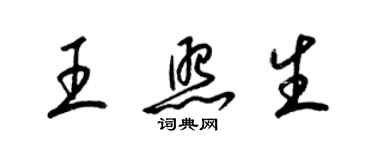 梁锦英王照生草书个性签名怎么写