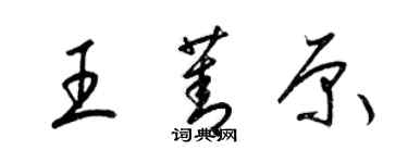 梁锦英王菁原草书个性签名怎么写