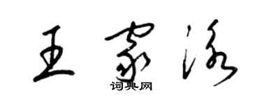 梁锦英王家泳草书个性签名怎么写
