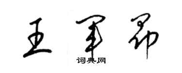 梁锦英王军昂草书个性签名怎么写
